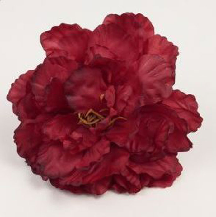 Pivoine Valence. Fleurs de flamenco. Rouge foncé. 12cm.